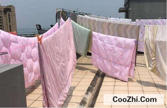 �����ڰְ�Ӧ����ʲô