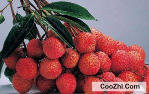 ��ʲôˮ���Ƚ������ϻ�