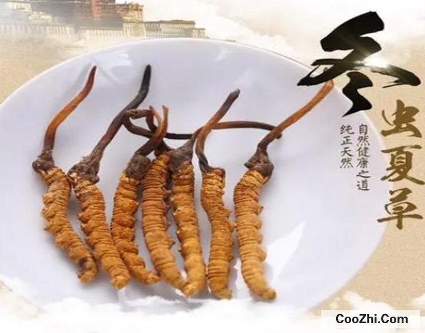 �ϰֹ�50��������ʲô����Ϻ�