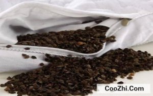 ������ͷ����ˮϴ����Ӱ�첻