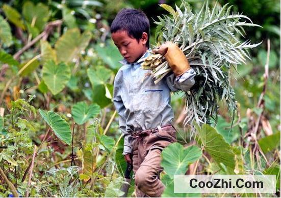 �й���Ϊʲô��������Ů������