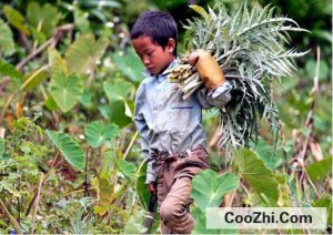 �й���Ϊʲô��������Ů������