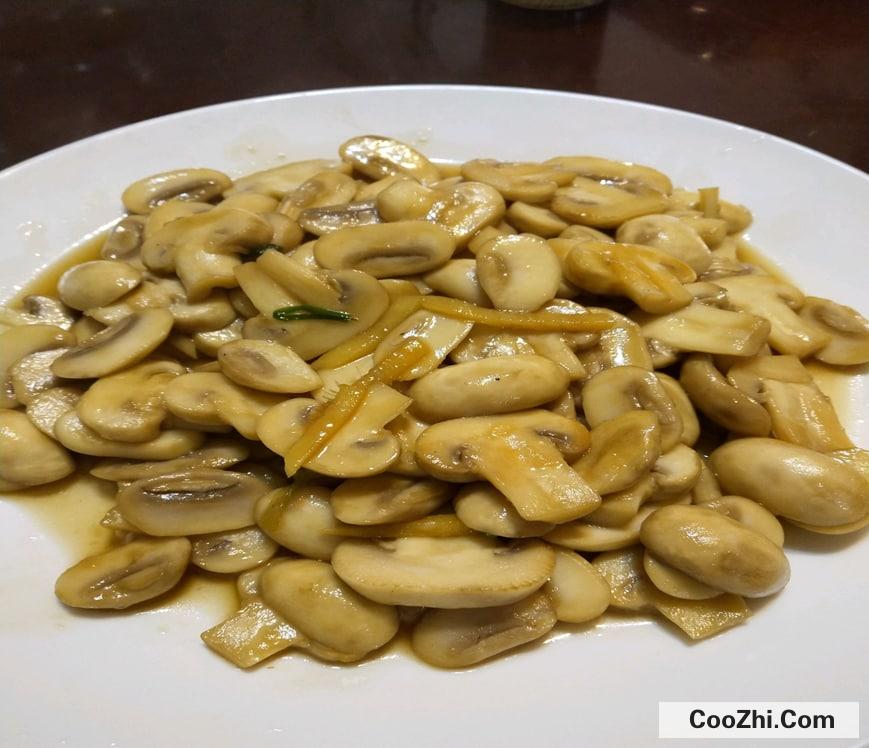 ��Ģ����ʱ���Ƕ��