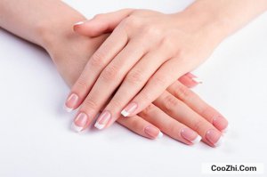 ��ָ�׵�����С˵��ʲô