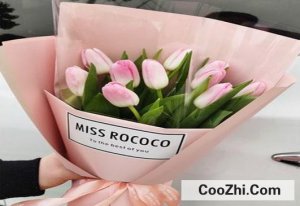 ׷��Ů����������ˮ�ٺ���