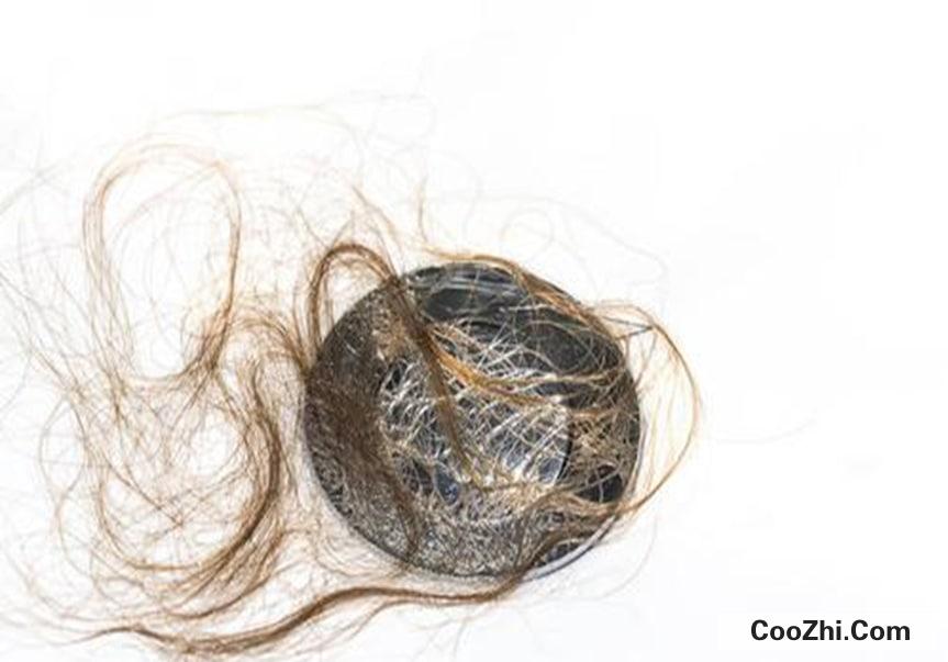 ���豣����С����