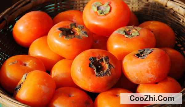 �������ȥɬ�������