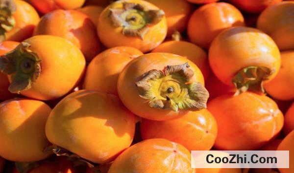 �������ȥɬ�������