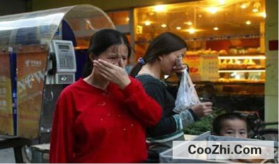 ѡ����������С����