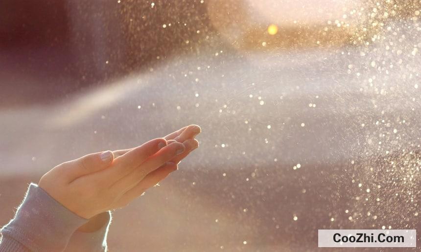 ��ο�����Ӧ�����»���