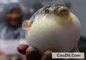 ������Ĳ�������Щ��