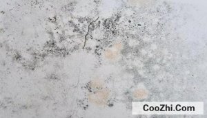 ������ЧԤ��ǽ�ڷ�ù�����