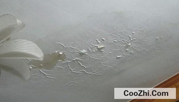 ������ЧԤ��ǽ�ڷ�ù�Ļ���