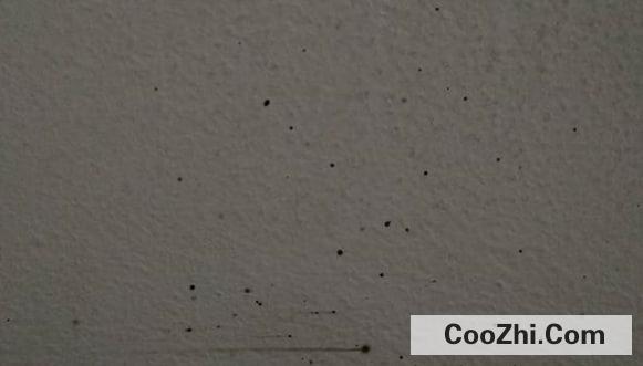 ������ЧԤ��ǽ�ڷ�ù�Ļ���