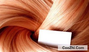 Ϊʲô���Խ��ͷ��Խ�ɿ�