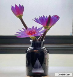 ���������͵��÷�