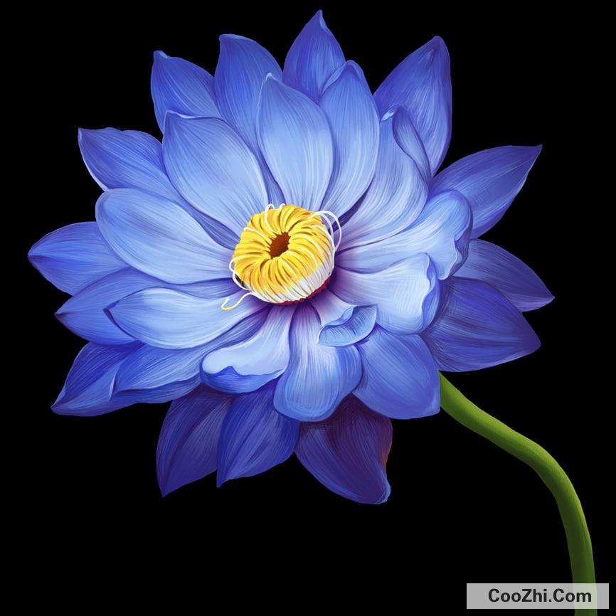 ���������͵��÷�