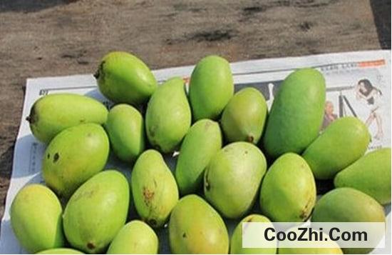 Ӳâ������������ٱ���