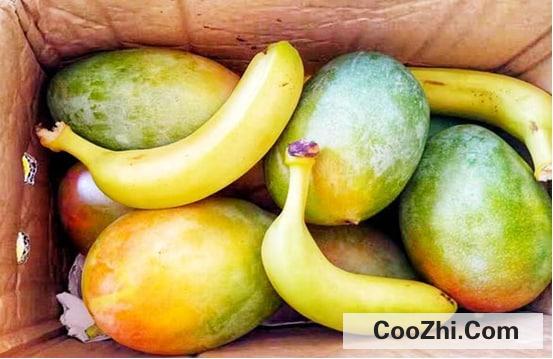 Ӳâ������������ٱ���