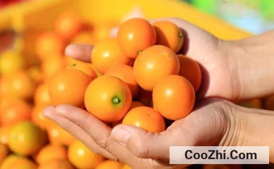 ��Чȥ���ڳ�Сƫ��