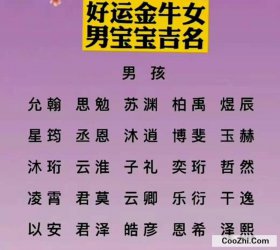 ������ӻ���������ο�ʼ