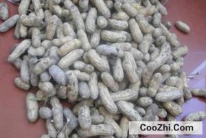 �����׷�ù�˿��Բ�����