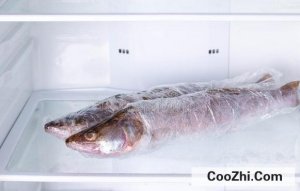 ����ű��䱣��������