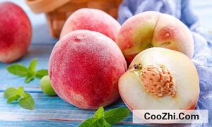 ���ӵ�Ӫ����ֵ��ʲô