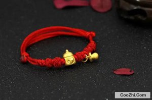 �������������ʲô��