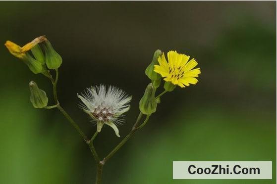 ��ν���ĸ�����