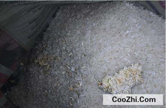 ���׿췢ùӦ����ô����