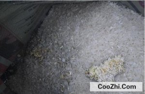 ���׿췢ùӦ����ô����