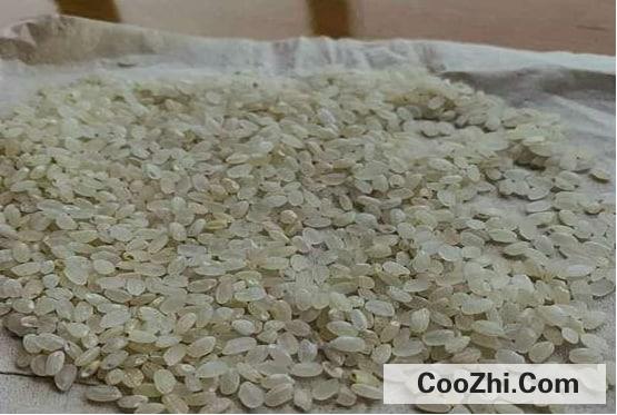 ���׿췢ùӦ����ô����