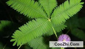 ��ô���߲�Ϊʲô�Ầ����