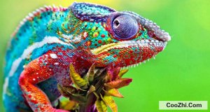 Ϊʲô��ɫ�����ɫ,��ɫ��ʲô����