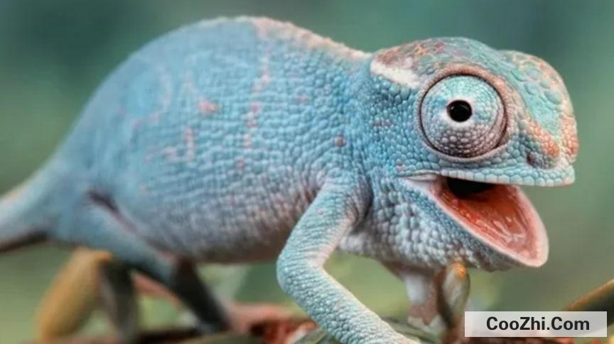 Ϊʲô��ɫ�����ɫ,��ɫ��ʲô����