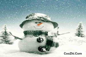 ��ѩ�������������