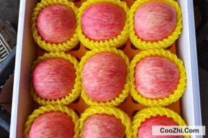 Ϊʲô����ĺ츻ʿƻ����ô��