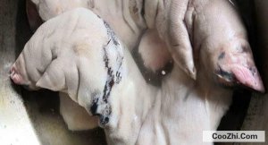 ������δ����Ÿɾ�