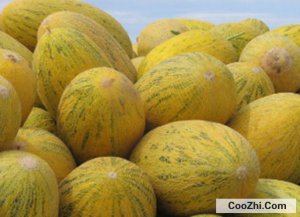 �п��Ĺ��ܹ���α���