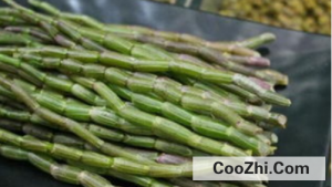 ��ʯ������α���