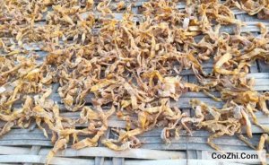 ��������δ��