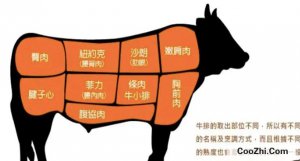 ţ�ŵ����������������