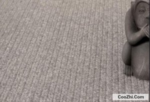 <b>��ë��̺�׵�ë��ԭ������Щ</b>