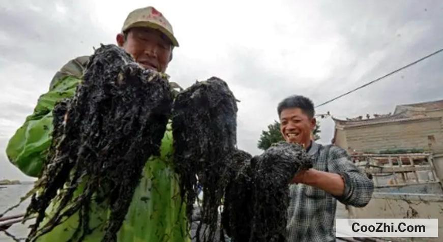 ������ʵ��ϲ���ʲô����