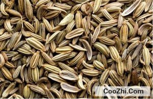 �˽Ǻ�����Ĺ�Ч����