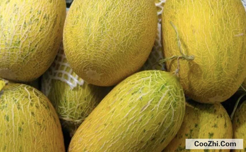 ���ܹ���ʲô���淽��