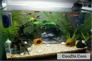 ��׵���������