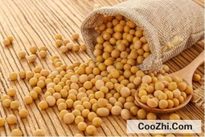 ���ܵ�̼�����