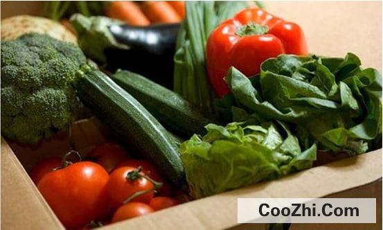 ����������Щ����ʳ��